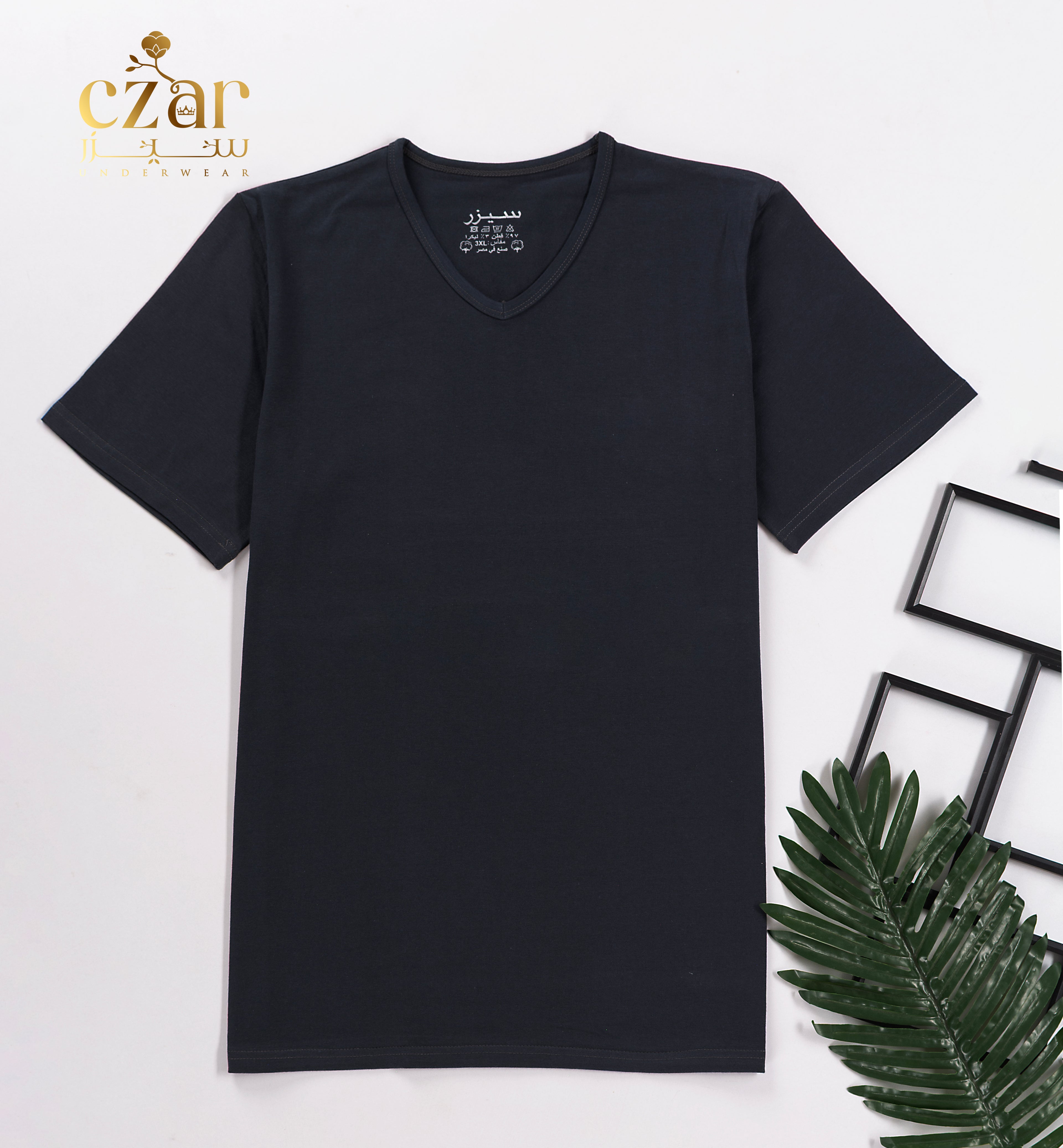 بادي نص كم رجالي قبه V