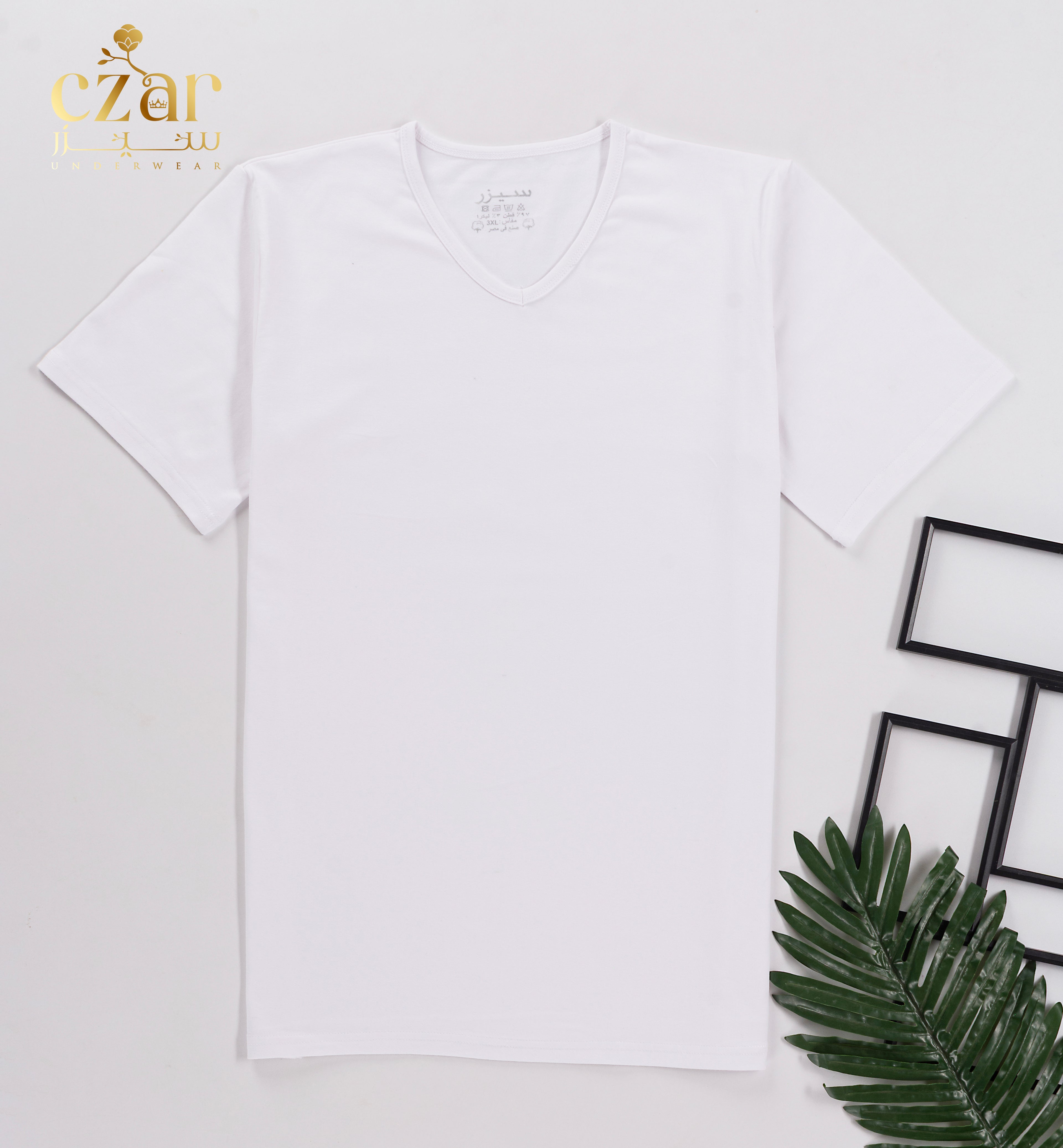 بادي نص كم رجالي قبه V