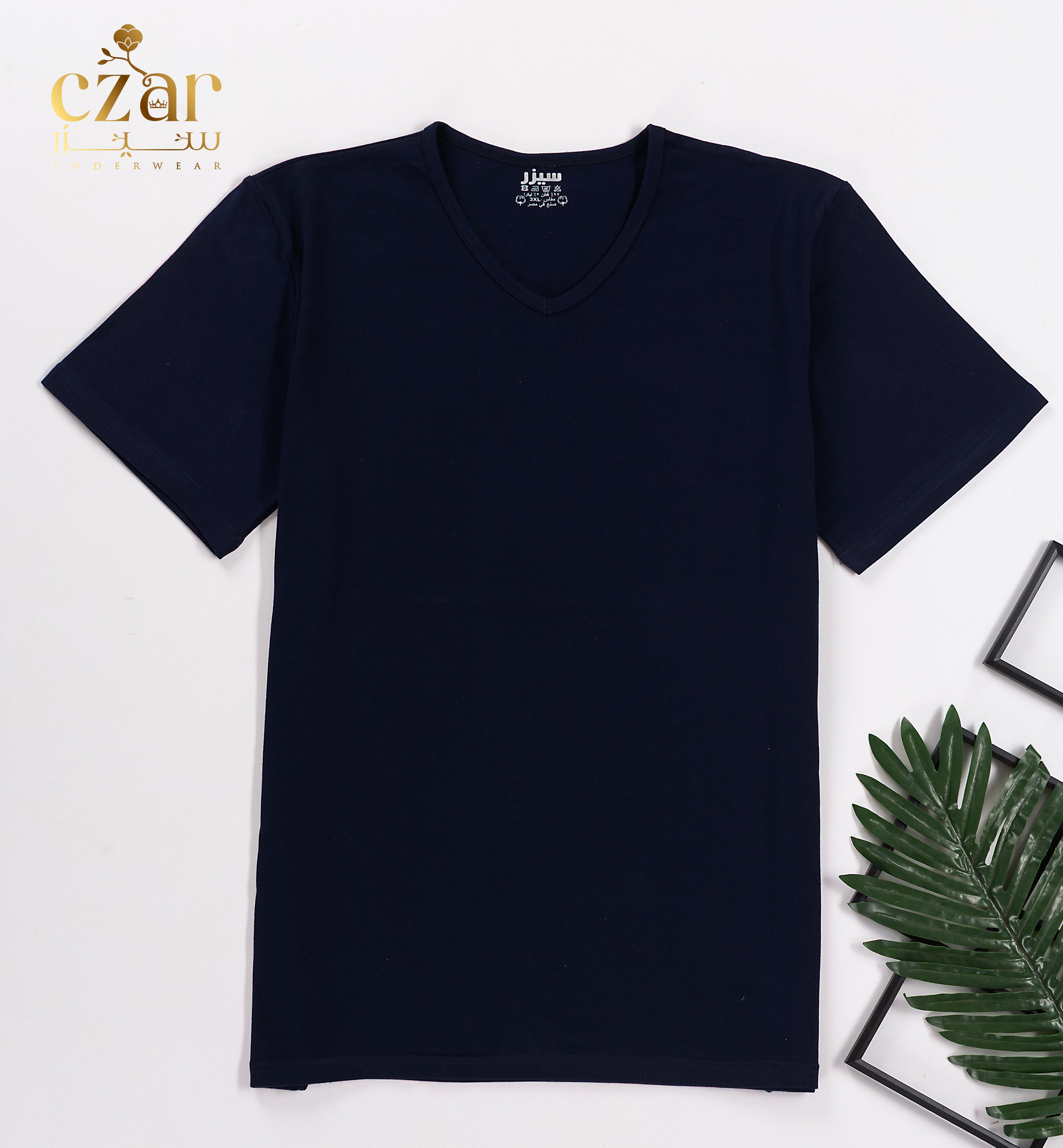 بادي نص كم رجالي قبه V